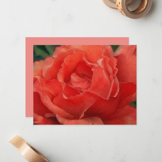 Ensemble de cartes de notes d'art de rose rose cor (Devant/Arrière en situation)