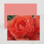 Ensemble de cartes de notes d'art de rose rose cor (Devant / Derrière)