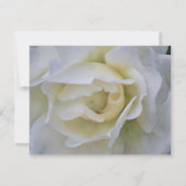 Ensemble de cartes de notes Fleur d'art Rose Blanc (Devant)
