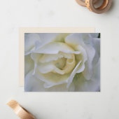 Ensemble de cartes de notes Fleur d'art Rose Blanc (Devant/Arrière en situation)