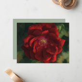 Ensemble de cartes de notes Fleur d'art Rose rouge (Devant/Arrière en situation)