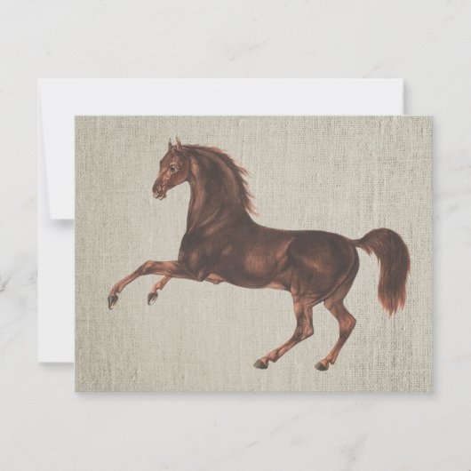Ensemble de cartes de notes illustrées de cheval c (Devant)
