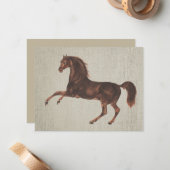 Ensemble de cartes de notes illustrées de cheval c (Devant/Arrière en situation)