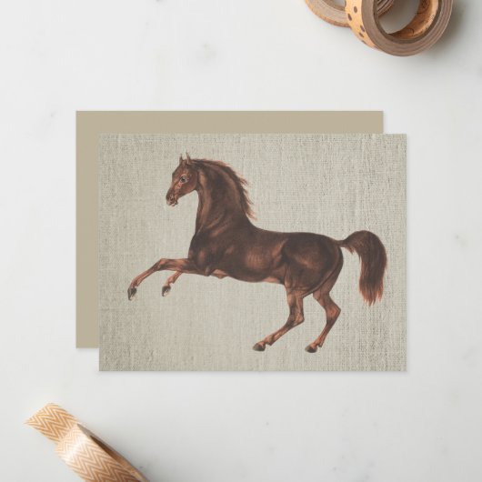 Ensemble de cartes de notes illustrées de cheval c (Devant/Arrière en situation)