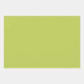 Ensemble de couleurs de printemps - Feuilles de pa (Devant 3)