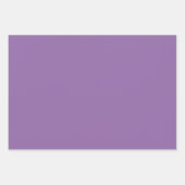 Ensemble de couleurs de printemps - Feuilles de pa (Devant)