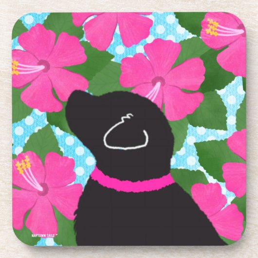 Ensemble de dessous de verre Chien Noir de l'Île d (Devant)