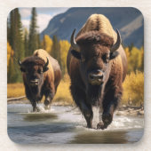 Ensemble de Dessous de verre de Buffalo de Yellows (Devant)