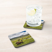 Ensemble de Dessous de verre de Buffalo de Yellows (Côté Droit)