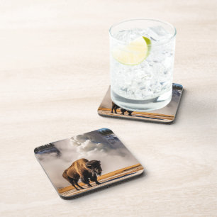Ensemble de Dessous de verre de Buffalo de Yellows