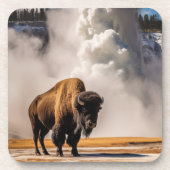 Ensemble de Dessous de verre de Buffalo de Yellows (Devant)