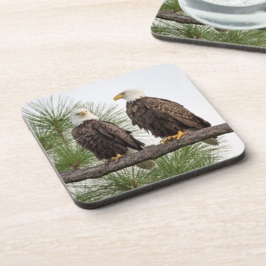 Ensemble de dessous de verre de H&O (Côté gauche)