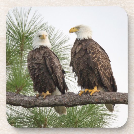 Ensemble de dessous de verre de H&O (Devant)