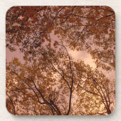 Ensemble de Dessous de verre de liège 'Abstrait d' (Devant)