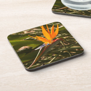 "Ensemble de Dessous de verre en plastique durable