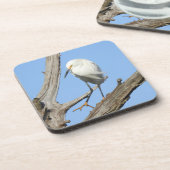 Ensemble de dessous de verre fauniques, feu de nei (Côté gauche)