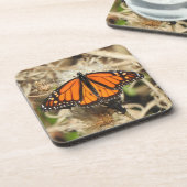 Ensemble de dessous de verre fauniques, papillon M (Côté gauche)