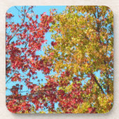 Ensemble de dessous de verre - Feuilles d'automne (Devant)