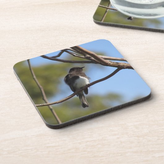 Ensemble de dessous de verre - Flycatcher (Côté gauche)