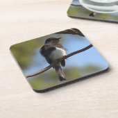 Ensemble de dessous de verre - Flycatcher Gros pla (Côté gauche)