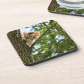 Ensemble de Dessous de verre Kitten In Tree (Côté gauche)