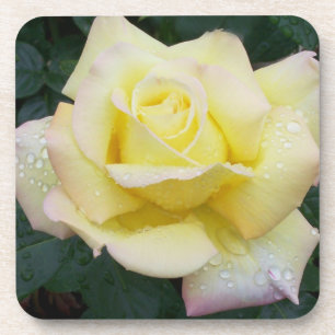 Ensemble de Dessous de verre Roses de paix