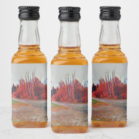 Ensemble de Étiquette de bouteille de mini-bouteil (Bouteilles)