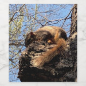 Ensemble de Étiquettes de nourriture et de boisson (Étiquettes simples)