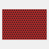 Ensemble de feuilles de papier d'emballage Ladybug (Devant 3)