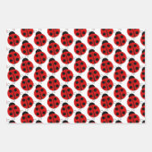 Ensemble de feuilles de papier d'emballage Ladybug (Devant)