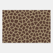 Ensemble de feuilles de poster de animal Safari (Devant 2)