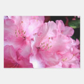 Ensemble de feuilles plates de papier d'emballage  (Devant 3)