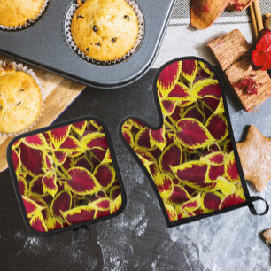 Ensemble De Gant De Cuisine Et De Manique Coloré Coleus Plante Feuille Floral
