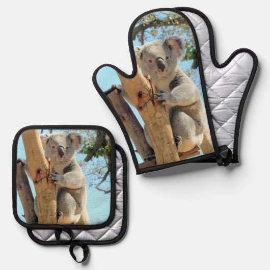 Ensemble De Gant De Cuisine Et De Manique Koala (Recto/Verso)