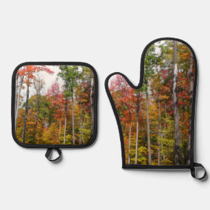 Ensemble De Gant De Cuisine Et De Manique L'automne dans la forêt Photographie d'automne col