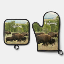 Photographie de bison de nature du Wyoming