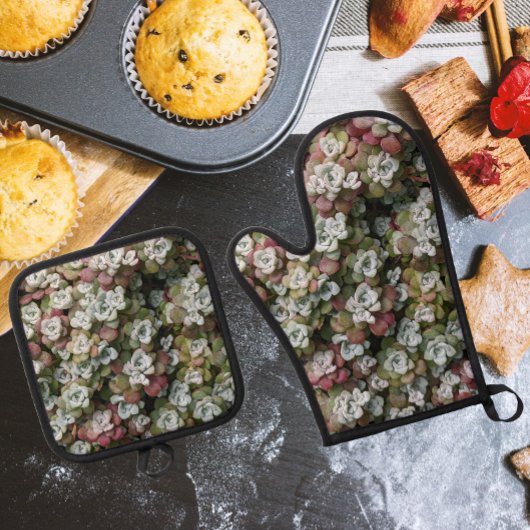 Ensemble De Gant De Cuisine Et De Manique Sedum Spathulifolium Stonecrop