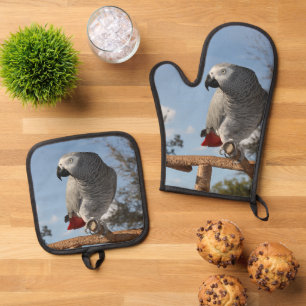 Ensemble De Gant De Cuisine Et De Manique Superbe perroquet gris africain