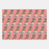 Ensemble de papier cadeau Corgi (Devant 3)