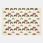 Ensemble de papier d'emballage, cadeaux pour toute (Devant 3)