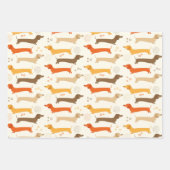 Ensemble de papier d'emballage Dachshunds et pois (Devant)