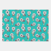 Ensemble de papier d'emballage de 3 ours koalas ad (Devant)