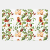 Ensemble de papier d'emballage de fruits et de feu (Devant 2)