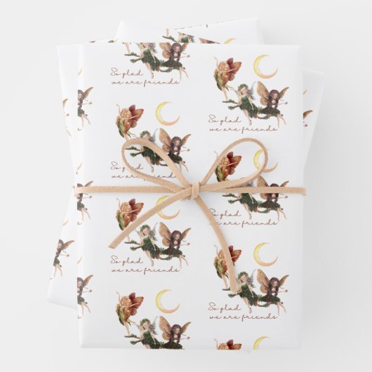 Ensemble de papier d'enrobage Fairy Friends (En situation)