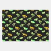 Ensemble de papier d'enveloppement de grenouilles (Devant 2)