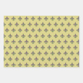 Ensemble de papier d'enveloppement de Jacquard de  (Devant 2)
