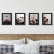 Ensemble de quatre photos de Kirby