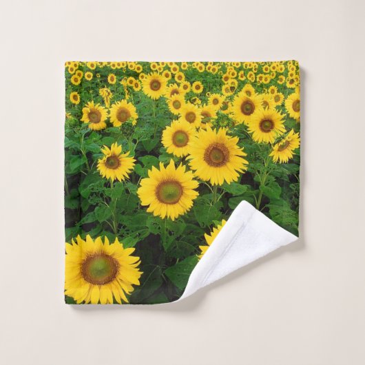 Ensemble de serviette de salle de bains de (Gant de toilette)