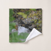Ensemble de serviettes d'amélioration de la Terre (Gant de toilette)