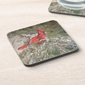 Ensemble de six dessous de verre cardinaux (Côté gauche)